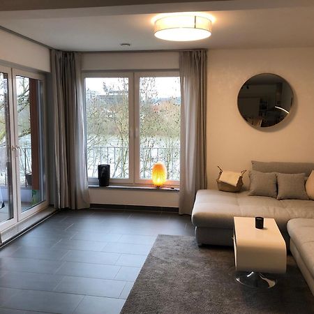 Schickes Apartment Mit Moselblick Trewir Zewnętrze zdjęcie